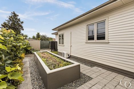 Photo of property in 904 Frederick Street West, Mahora, Hastings, 4120