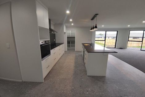 Photo of property in 38 Chardonnay Way, Te Kauwhata, 3710