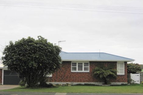 Photo of property in 41 Parker Avenue, Levin, 5510