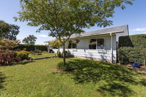 Photo of property in 17 Grenville Street, Levin, 5510