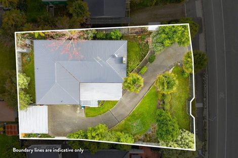 Photo of property in 52 Cambridge Road, Hillcrest, Hamilton, 3216