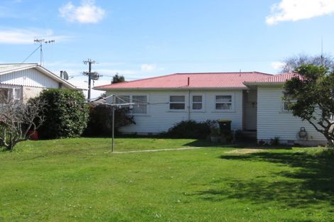Photo of property in 30 Cobham Street, Levin, 5510