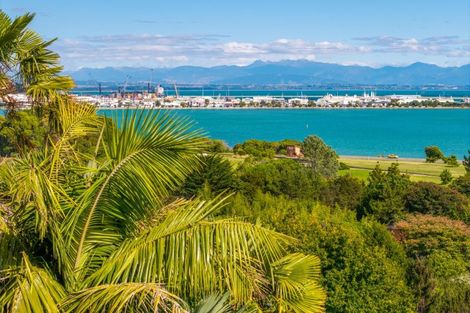 Photo of property in 23a Walters Bluff, Atawhai, Nelson, 7010