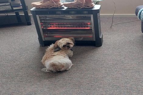 Photo of property in 2 Arohanui Street, Huntly, 3700