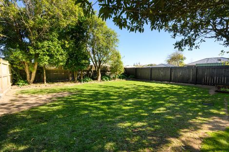 Photo of property in 101a Limbrick Street, Terrace End, Palmerston North, 4410