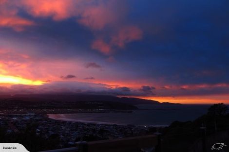 Photo of property in 17 Hornsey Road, Melrose, Wellington, 6023