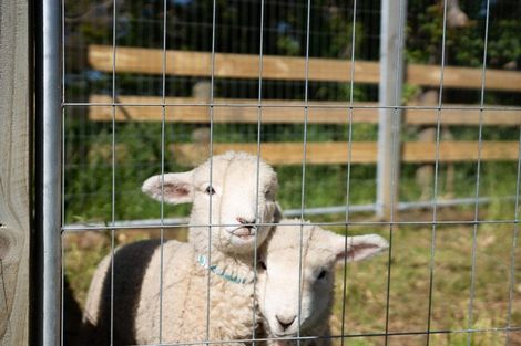 Photo of property in 66c Thomas Road, Carrington, Carterton, 5791