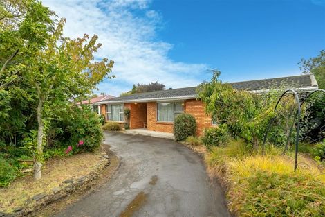 Photo of property in 215 Union Street, Milton, 9220