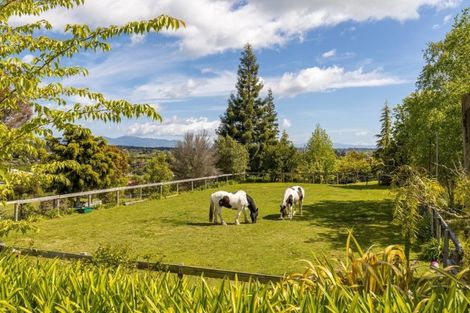 Photo of property in 12 Hoddy Road, Redwood Valley, Richmond, 7081