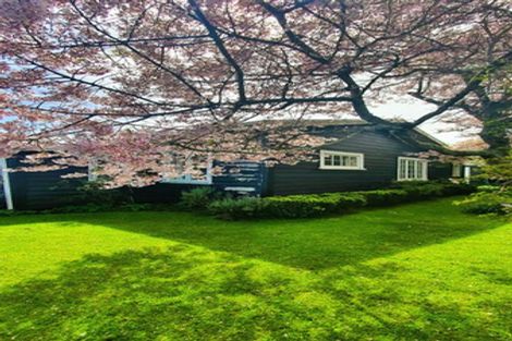 Photo of property in 2 Hoyle Place, New Plymouth, 4310