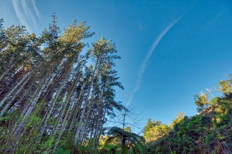 Photo of property in 299c Whakamarama Road, Whakamarama, 3179