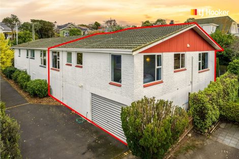 Photo of property in 17b Bruce Street, Roslyn, Dunedin, 9011