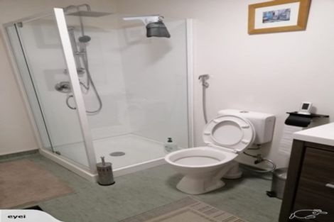 Photo of property in Dixonlane Apartments, 7/7 Feltex Lane, Te Aro, Wellington, 6011