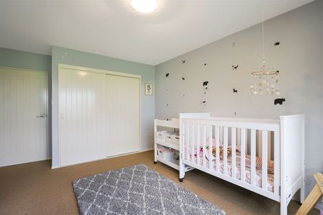 Photo of property in 222 Tinwald Westerfield Mayfield Road, Tinwald, Ashburton, 7771