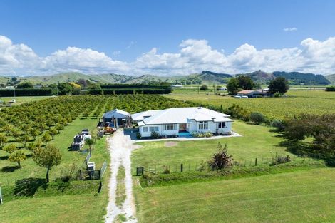 Photo of property in 17 Cemetery Road, Patutahi, Gisborne, 4072