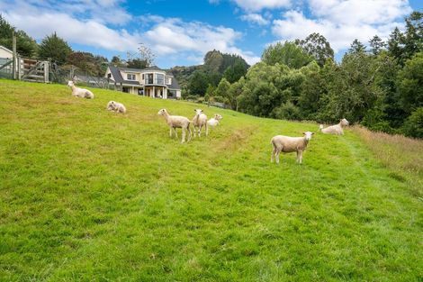 Photo of property in 41 Glenelg Street, Bradford, Dunedin, 9011