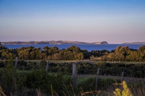 Photo of property in 45 Bounty Road, Long Bay, Auckland, 0630