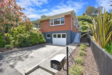 Photo of property in 56 Woodhaugh Street, Woodhaugh, Dunedin, 9010
