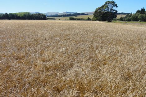 Photo of property in 62 Nonoti Road, Cheviot, 7383