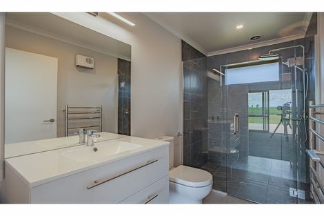 Photo of property in 115 Divan Road, Levels, Timaru, 7975