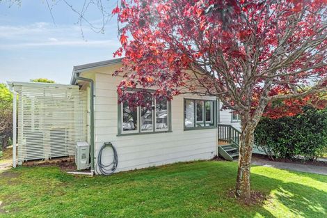 Photo of property in 152 Raeburne Street, Te Awamutu, 3800