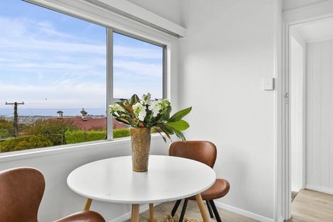 Photo of property in 117 Oakwood Avenue, Balaclava, Dunedin, 9011