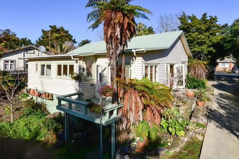 Photo of property in 15 Fow Street, Hamilton Central, Hamilton, 3204