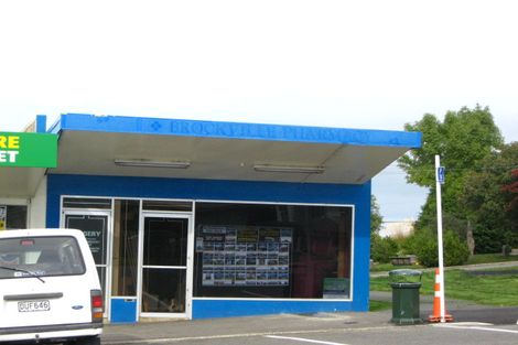 Photo of property in 271 Brockville Road, Brockville, Dunedin, 9011