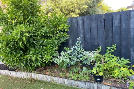 Photo of property in 11/36 Margaret Avenue, Mount Albert, Auckland, 1025