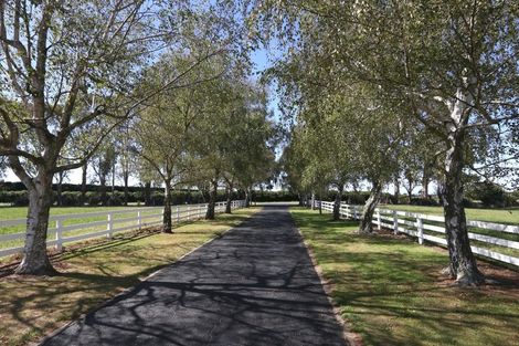 Photo of property in 280 Cochranes Road, Elgin, Ashburton, 7777