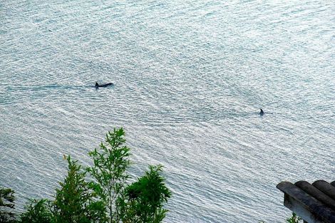 Photo of property in 85 Tiri Road, Tindalls Beach, Whangaparaoa, 0930