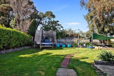 Photo of property in 17 Massey Street, Westown, New Plymouth, 4310