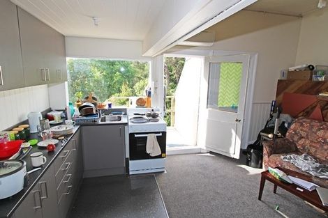 Photo of property in 59 Opoho Road, North East Valley, Dunedin, 9010