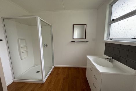 Photo of property in 153 Mangahao Road, Shannon, Palmerston North, 4474