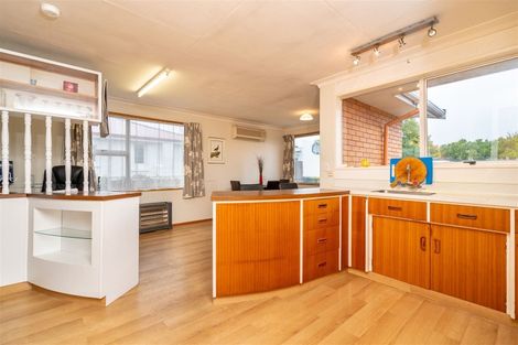 Photo of property in 215 Union Street, Milton, 9220