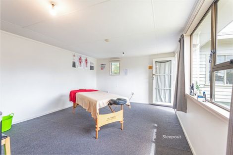 Photo of property in 17 Manawatu Street, Hokowhitu, Palmerston North, 4410