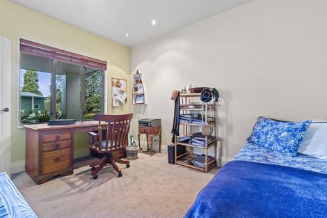 Photo of property in 202 Pukemapu Road, Oropi, Tauranga, 3173