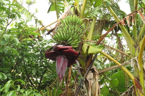 Photo of property in 44a Happy Jacks Road, Mahia, 4198
