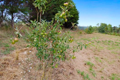 Photo of property in 306 Oneriri Road, Kaiwaka, 0573