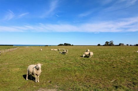 Photo of property in 167 Normanby Road, Normanby, Timaru, 7971