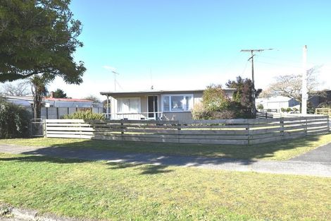 Photo of property in 52 Rangatira Drive, Mangakino, 3421