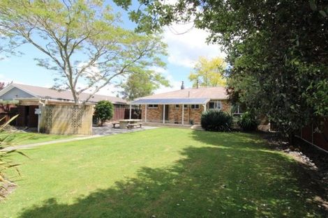 Photo of property in 8 Rawhiti Avenue, Matamata, 3400