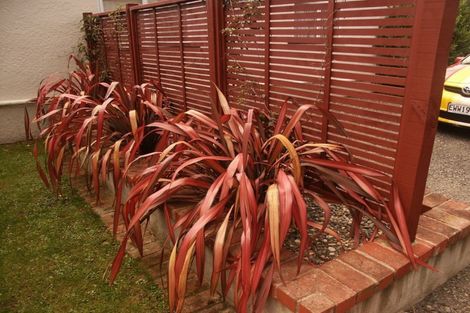 Photo of property in 60 Nelson Street, Forbury, Dunedin, 9012