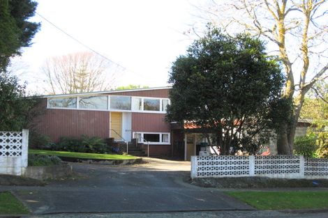 Photo of property in 21 Macarthur Street, Levin, 5510