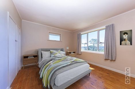 Photo of property in 93 Lloyd Road, Riverhead, Albany, 0793