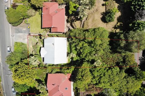 Photo of property in 116 Bedford Street, Saint Clair, Dunedin, 9012