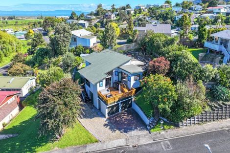 Photo of property in 103 Reservoir Road, Thames, 3500