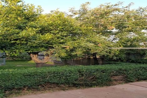 Photo of property in 14 Greta Street, Glenview, Hamilton, 3206