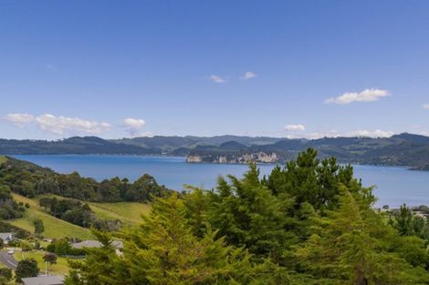 Photo of property in 79 Tarapatiki Drive, Whitianga, 3510