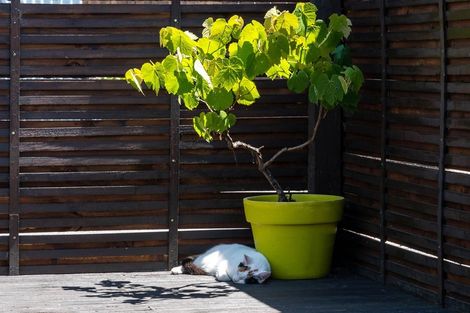 Photo of property in 83b Western Road, Ngongotaha, Rotorua, 3010